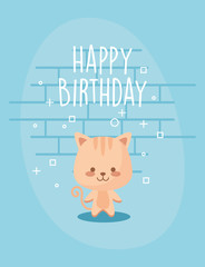cat cartoon and happy birthday vector design