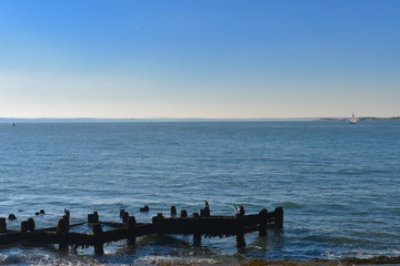 Eastney beach between Southsea Castle Fort Cumberland. Southern Portsmouth suburbs are close so locals find this convenient to swim cool down on sunny days. To the west the beach merges with Southsea