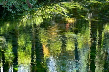 名水　白川水源の情景＠阿蘇、熊本