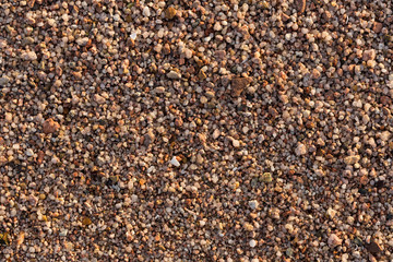 Small pebbles form the background of the sea shore. Coarse multicolor sand.