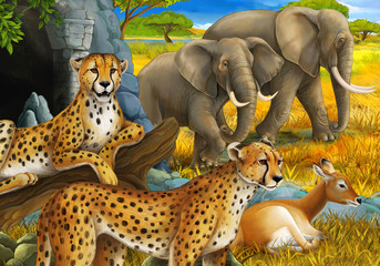 cartoon scene with safari animals cheetah and elephants on the meadow illustration for children