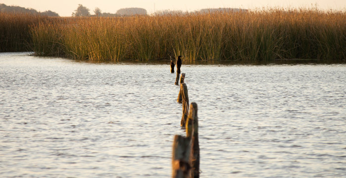 Nahuel Ruca Lagoon