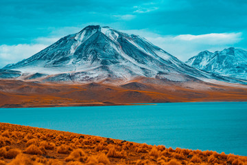 Fototapeta premium mt fuji in japan