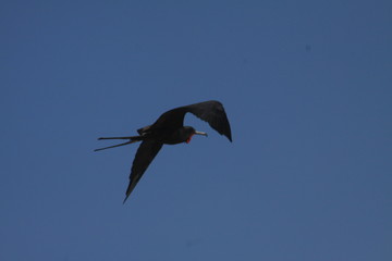 San Pancho, Nayarit, Mexico. Trip