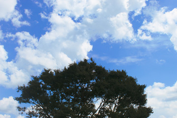 Sky in contrast
