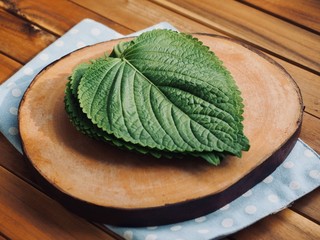 한국의 신선한 유기농 채소 깻잎 