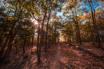 The blurry nature background of the Wat Saphan Hin walkway has long, stone bridges on a hill, with tourists coming to see the beauty in Sukhothai, Thailand.