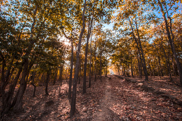 The blurry nature background of the Wat Saphan Hin walkway has long, stone bridges on a hill, with tourists coming to see the beauty in Sukhothai, Thailand.