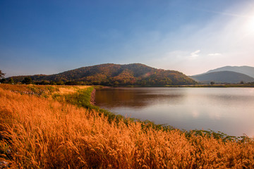 The blurred panoramic nature background of sunlight hitting the lake's surface, grass and wind blowing all the time along the large mountains, ecological beauty and fresh air.