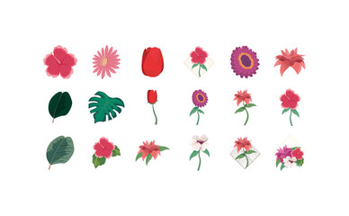 Fototapeta na wymiar Isolated natural flowers set vector design