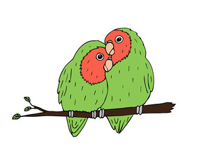 Vector hand drawn doodle sketch green lovebirds parrots pair isolated on white background