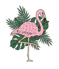 Vector hand drawn doodle sketch colored pink flamingo with palm leaves illustration isolated on white background
