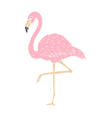 flamingo isolated on white background - obrazy, fototapety, plakaty