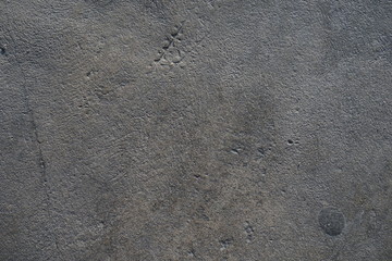 concrete wall texture