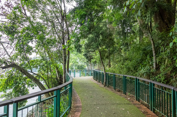 landscape of path on the famous Sun Moon Lake