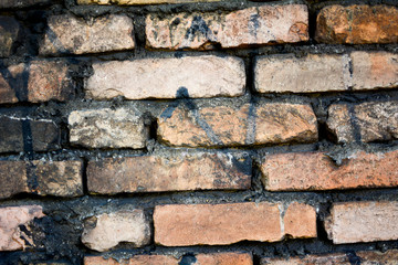 Obraz premium brick texture
