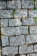 brick texture