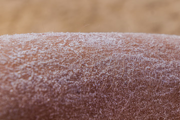Arm covered by salt after bathing in the Dead Sea, Jordan