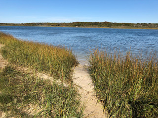 A Path Through the Grass to Shinneock Bay in Southampton, Long Island, New York