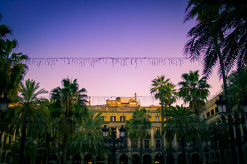 barcelona square with palm trees