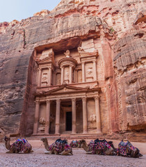Camels in front of the Al Khazneh temple (The Treasury) in the ancient city Petra, Jordan