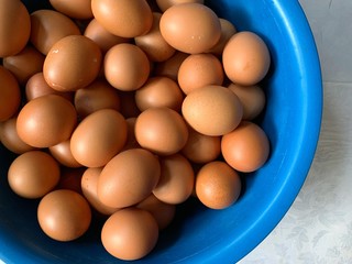 Chincken eggs in blue bowl  