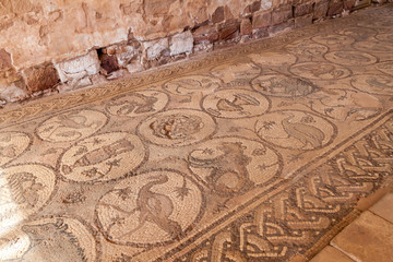 Mosaic at the floor of the Byzantine Church ruin in the ancient city Petra, Jordan