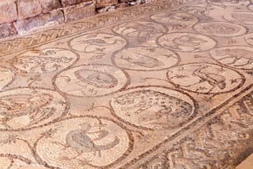 Mosaic at the floor of the Byzantine Church ruin in the ancient city Petra, Jordan