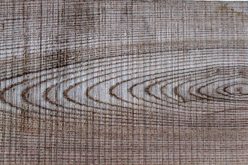 Fototapeta premium elm wood texture 3 