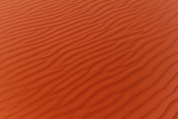 Background of a sand dune