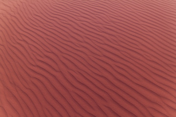 Background of a sand dune