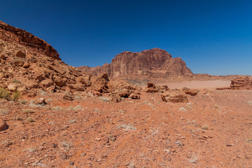 Fototapeta premium Landscape of Wadi Rum desert, Jordan