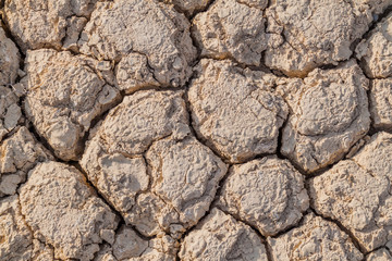 Background of the dried mud cracks