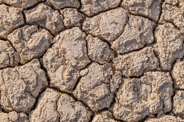 Background of the dried mud cracks