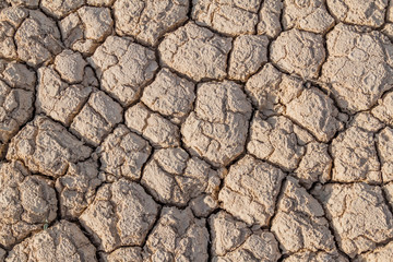 Background of the dried mud cracks