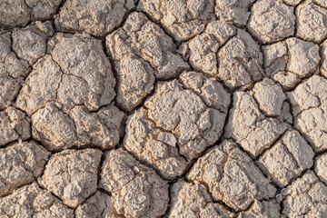 Background of the dried mud cracks