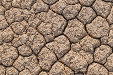 Background of the dried mud cracks
