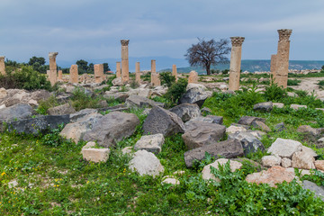 Columns at the ruins of Umm Qais, Jordan