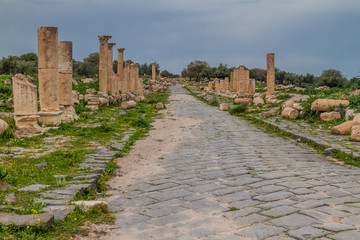 Fototapeta na wymiar Colonnaded road at the ruins of Umm Qais, Jordan