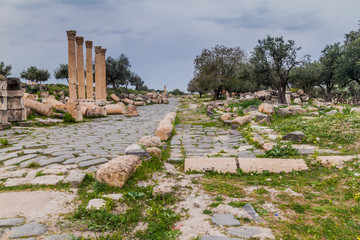 Colonnaded road at the ruins of Umm Qais, Jordan