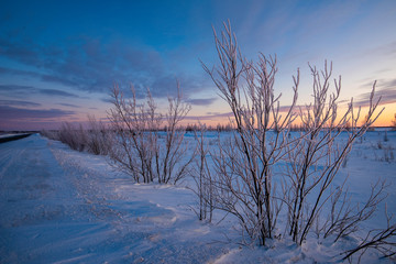 Fototapeta na wymiar winter mountain landscape with trees and lake