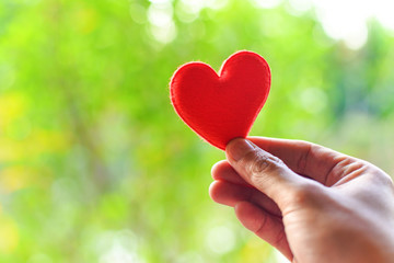 heart on hand for philanthropy concept - woman holding red heart in hands for valentines day or...