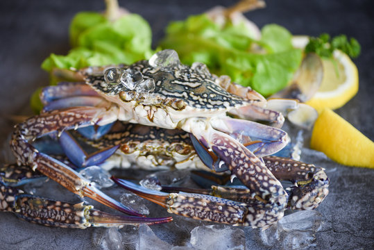 Raw crab on ice with spices lemon and salad lettuce on the dark plate background - fresh crab for cooked food at restaurant or seafood market , Blue swimming crab