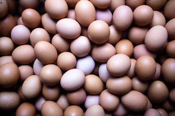 Brown chicken raw eggs background