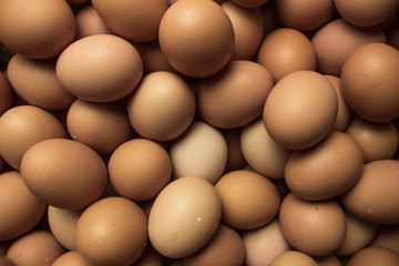 Brown chicken raw eggs background