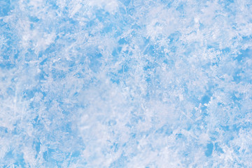 Background from crystal clear real snowflakes in blue and turquoise shades in macro. Christmas and New Year winter background of natural ice snowflakes close-up.