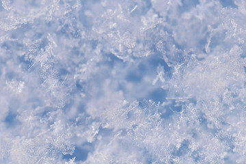 Background from crystal clear real snowflakes in blue and turquoise shades in macro. Christmas and New Year winter background of natural ice snowflakes close-up.
