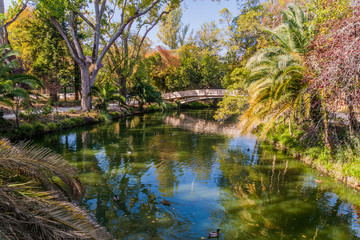 Pond in Parque Infante Dom Pedro park in Aveiro, Portugal