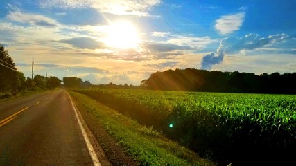 Obraz premium landscape with road and blue sky