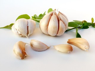 Garlic with green leaf isolated white background